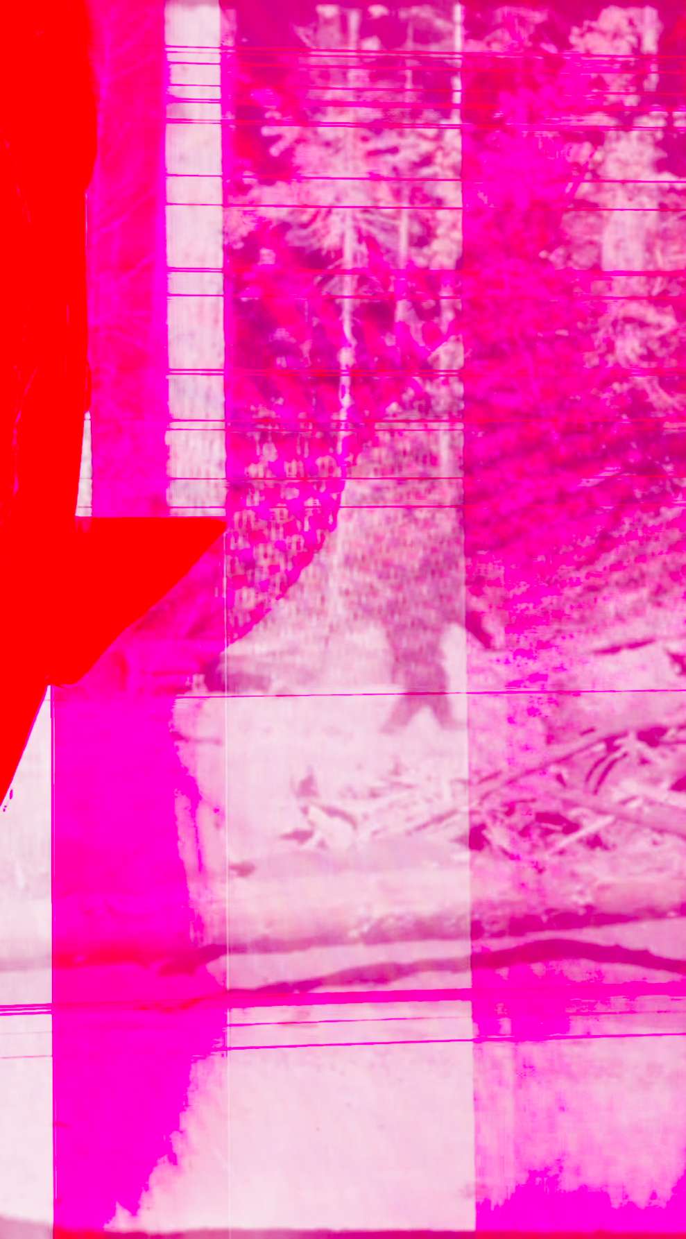 Photograph of Running Away From Me Installation