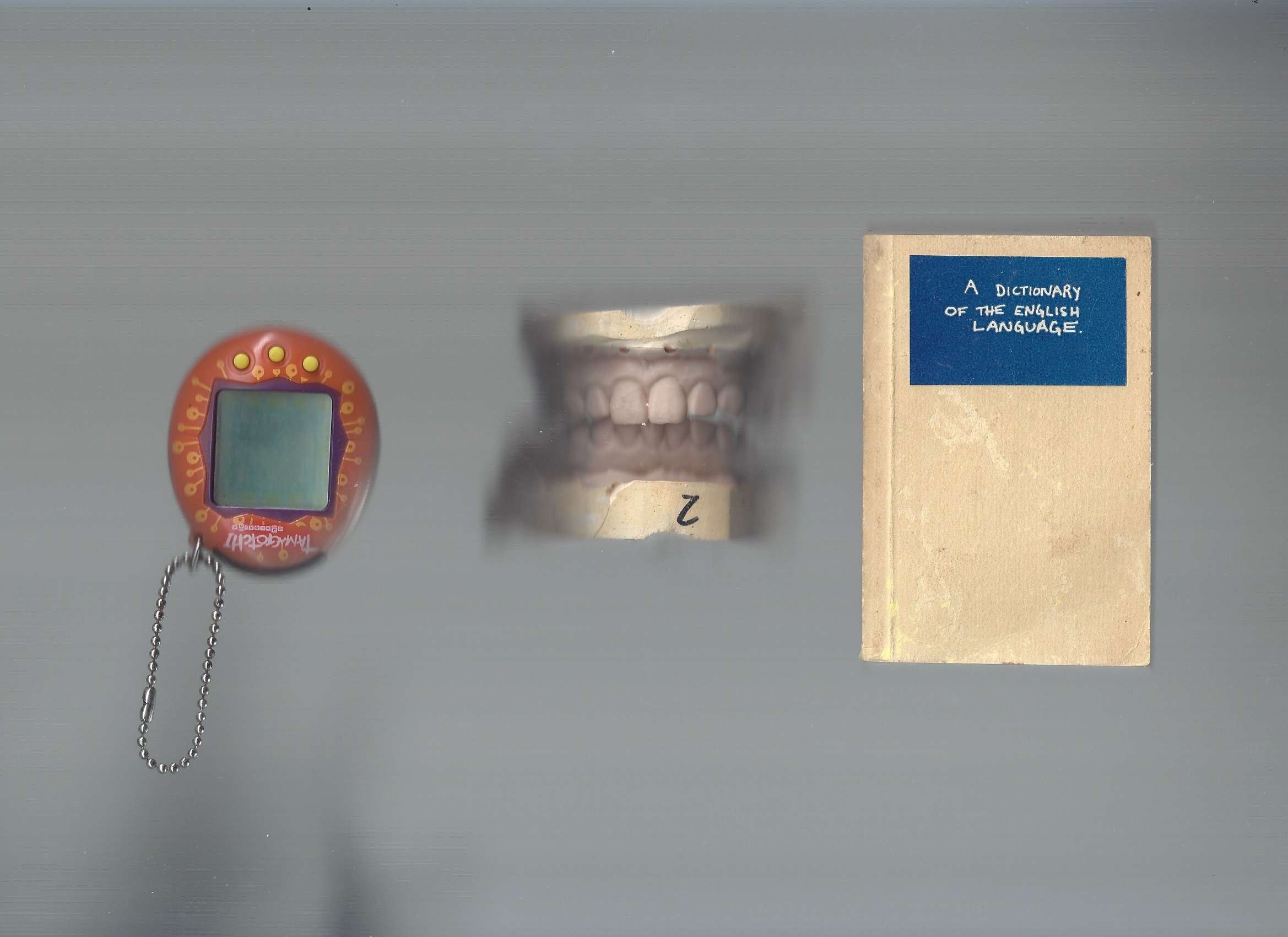 Scanned tamogotchi, teeth, and a dictionary of the english language
