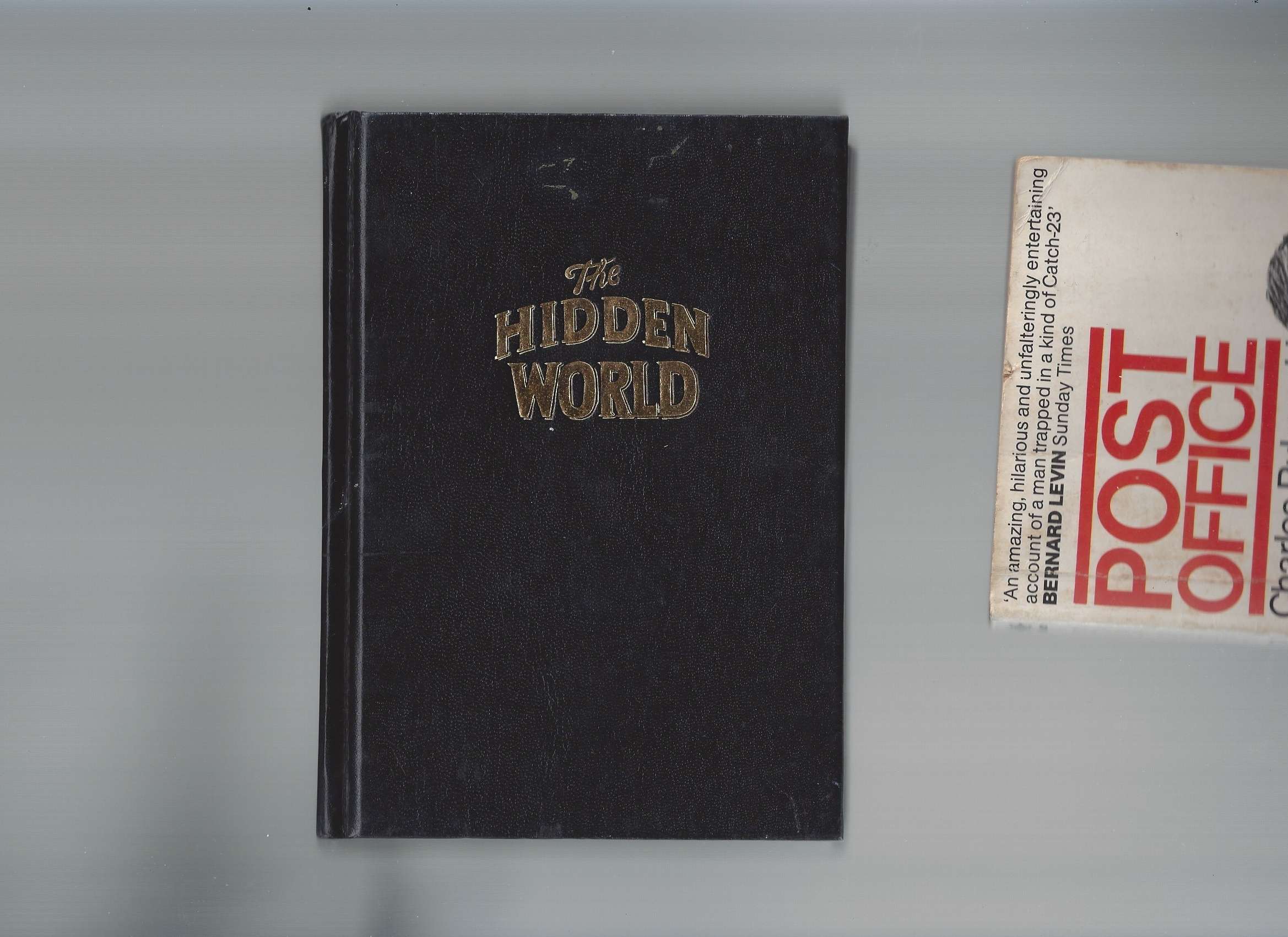 Scanned books, 'The Hidden World'